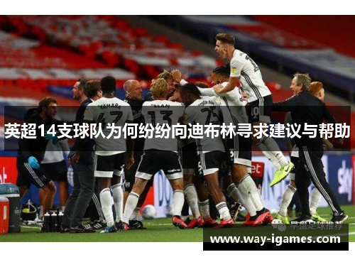 英超14支球队为何纷纷向迪布林寻求建议与帮助 英超14支球队为何纷纷向迪布林寻求建议与帮助