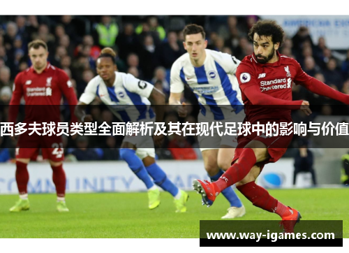 西多夫球员类型全面解析及其在现代足球中的影响与价值 西多夫球员类型全面解析及其在现代足球中的影响与价值