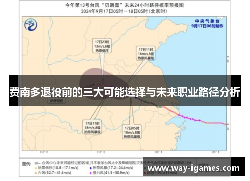 费南多退役前的三大可能选择与未来职业路径分析 费南多退役前的三大可能选择与未来职业路径分析