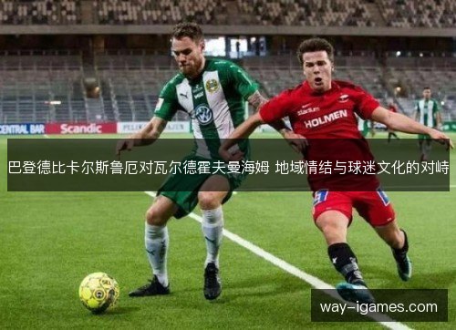 巴登德比卡尔斯鲁厄对瓦尔德霍夫曼海姆 地域情结与球迷文化的对峙 巴登德比卡尔斯鲁厄对瓦尔德霍夫曼海姆 地域情结与球迷文化的对峙